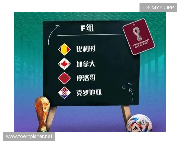 世界杯F组最可能出现的排名 世界杯F组最可能出现的排名